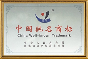 2018中国著名商标